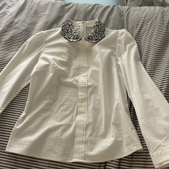 Collared Shirt - Picture 1 of 7